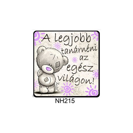 Hűtőmágnesek tanároknak, tanárnőknek